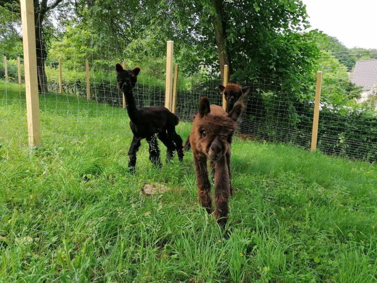 Schmelz Casa De Alpaca 아파트 외부 사진